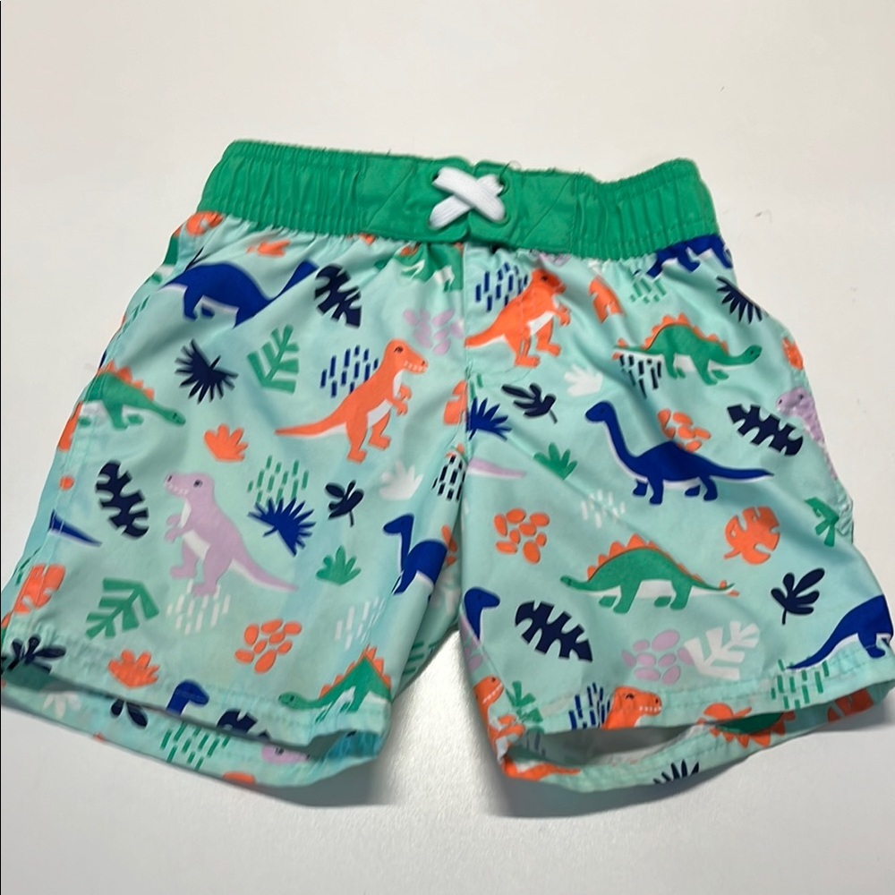Colorful Dinosaur Print Swim Shorts
